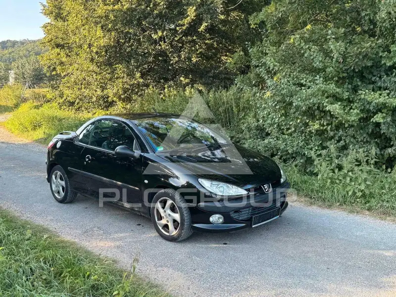 2003 Peugeot 206