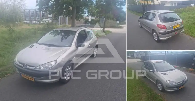 2004 Peugeot 206