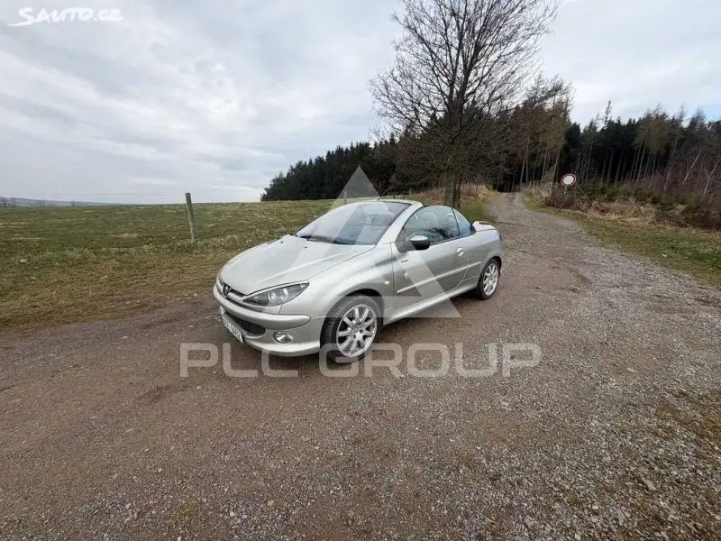 2004 Peugeot 206