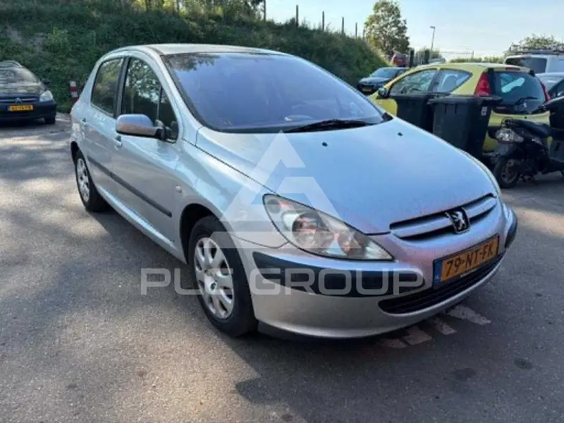 2004 Peugeot 307