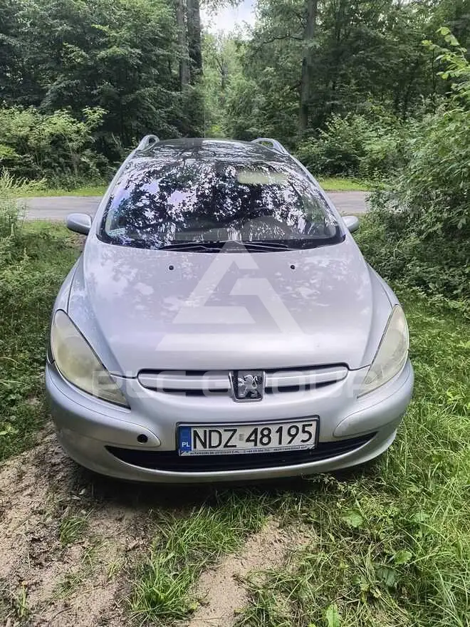 2004 Peugeot 307