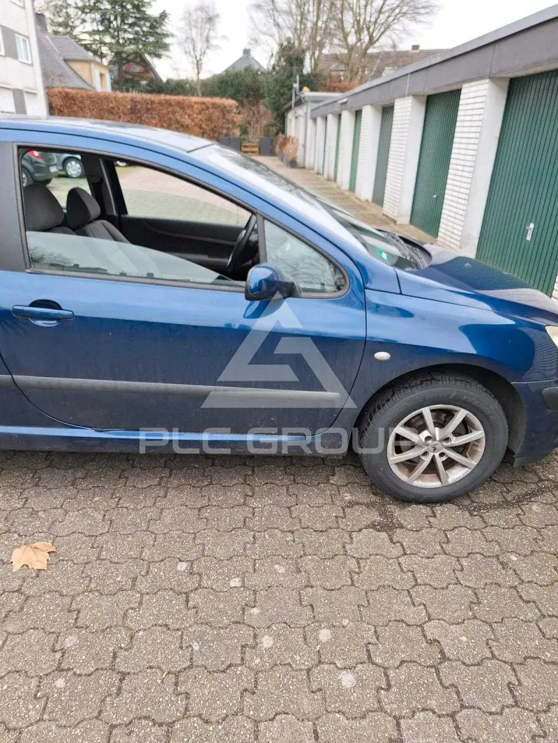 2004 Peugeot 307