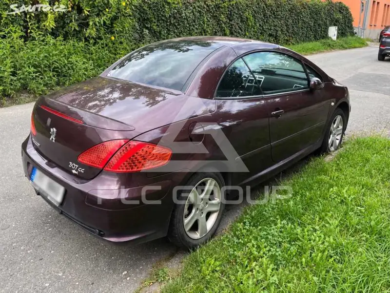 2004 Peugeot 307