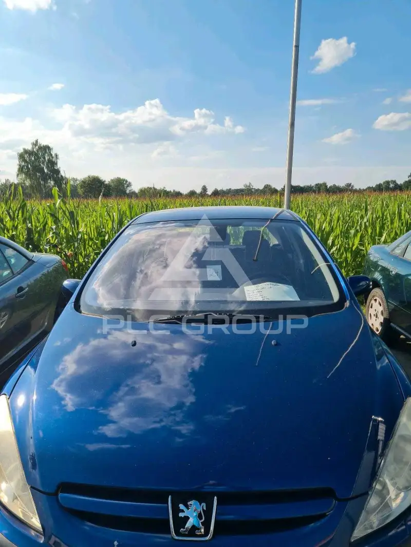 2004 Peugeot 307