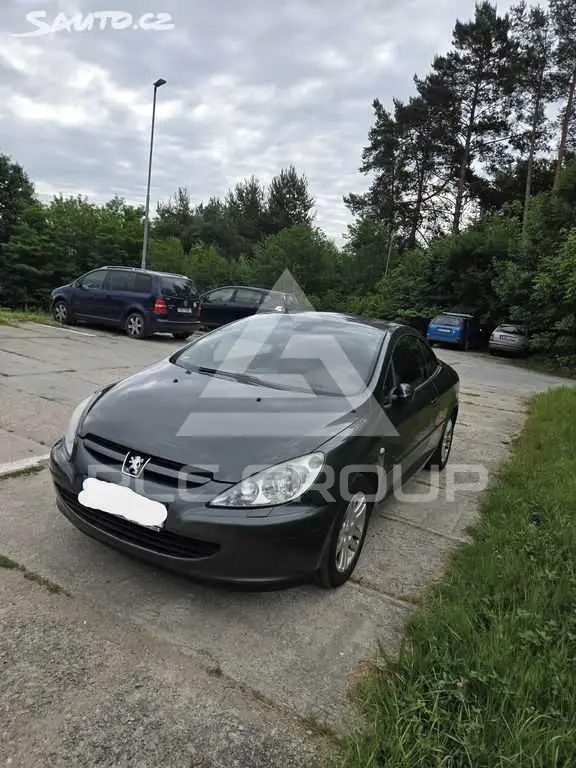 2004 Peugeot 307