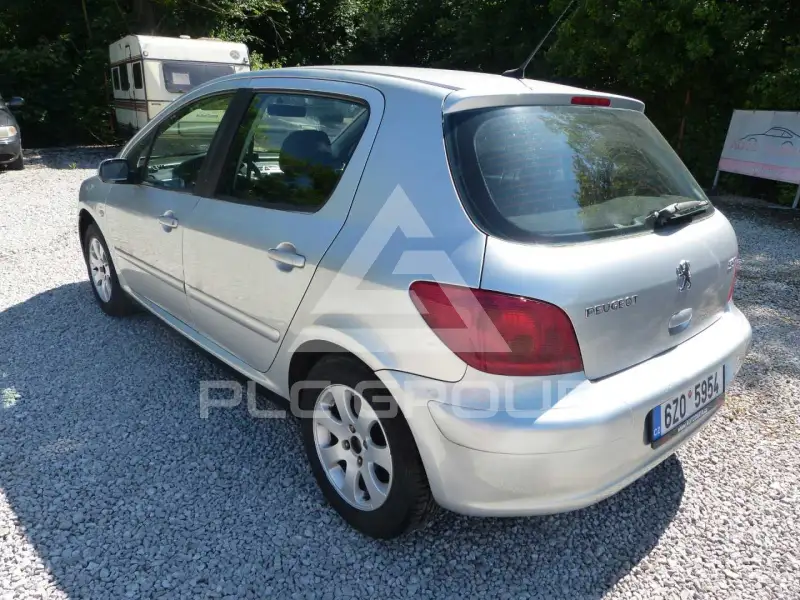 2004 Peugeot 307