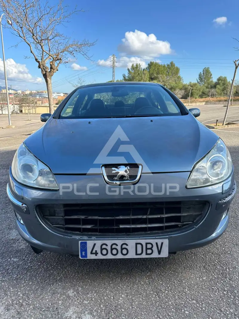 2004 Peugeot 407