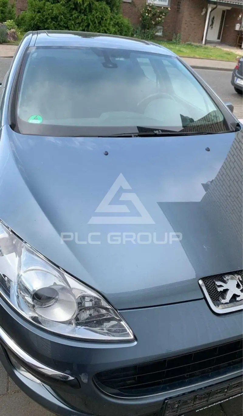 2004 Peugeot 407