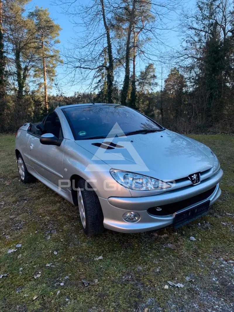 2004 Peugeot 206