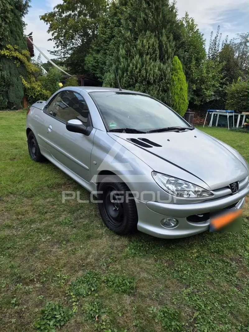 2004 Peugeot 206