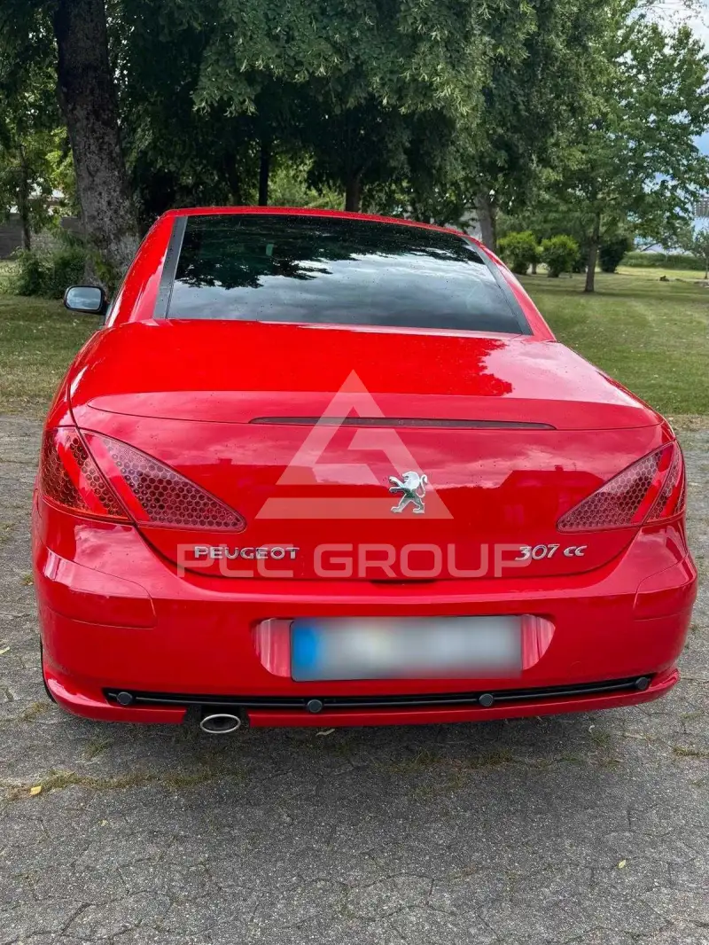 2004 Peugeot 307