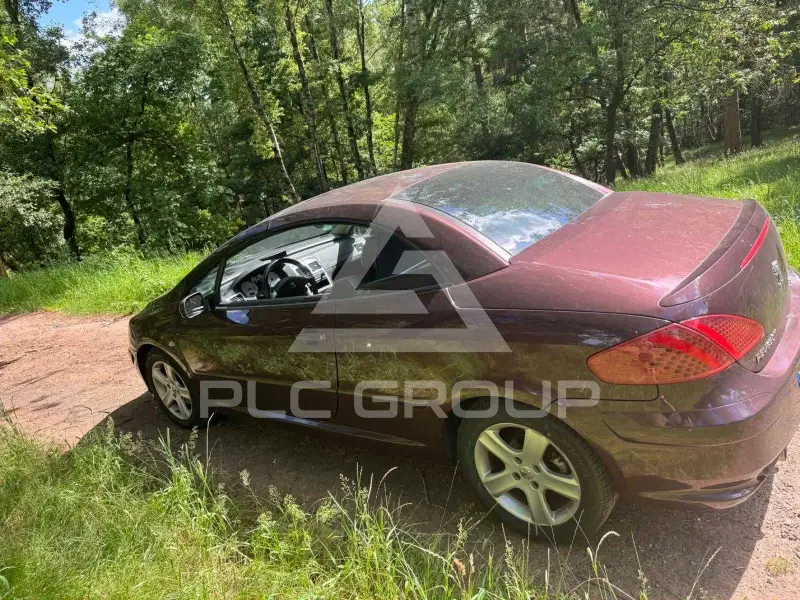 2004 Peugeot 307