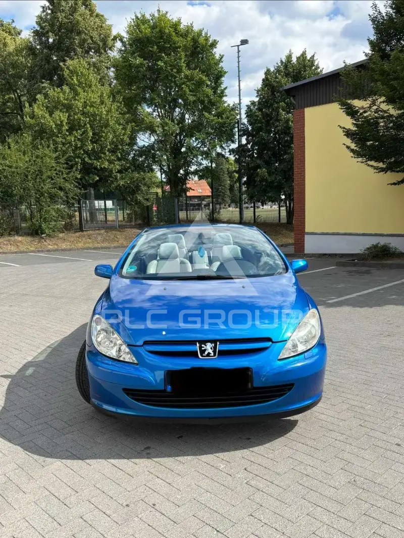 2004 Peugeot 307