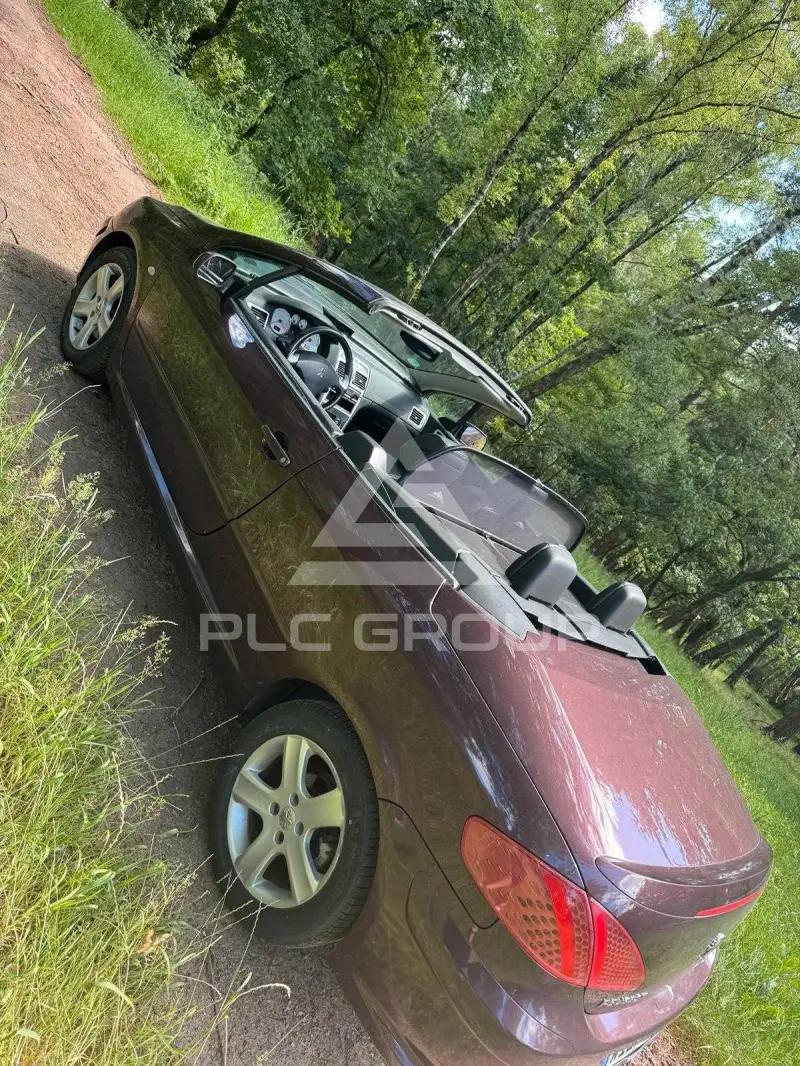 2004 Peugeot 307