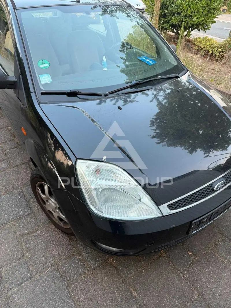 2004 Ford FIESTA