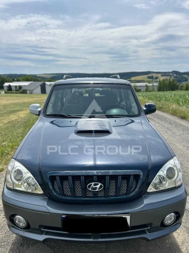 2004 Hyundai Terracan