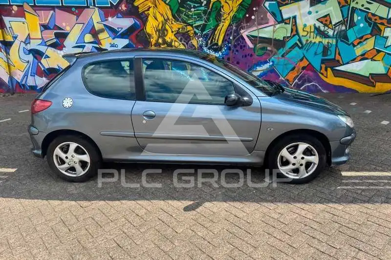 2005 Peugeot 206