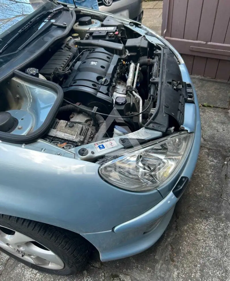 2005 Peugeot 206