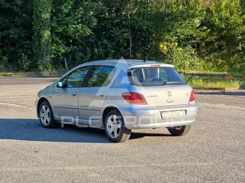 2005 Peugeot 307