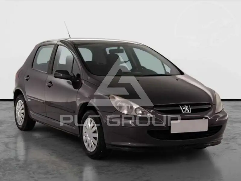 2005 Peugeot 307