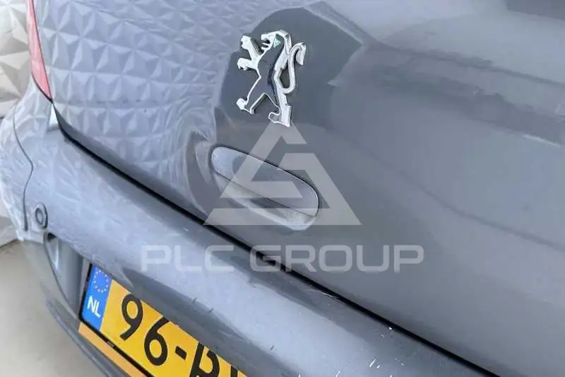 2005 Peugeot 307