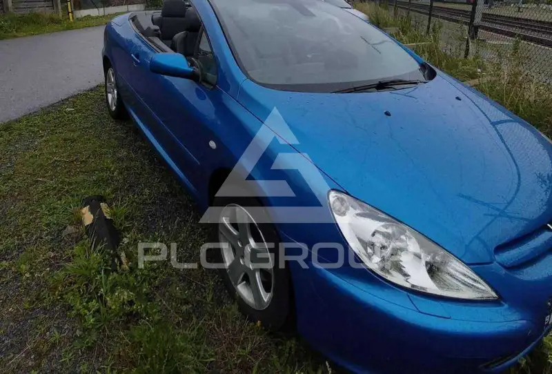 2005 Peugeot 307