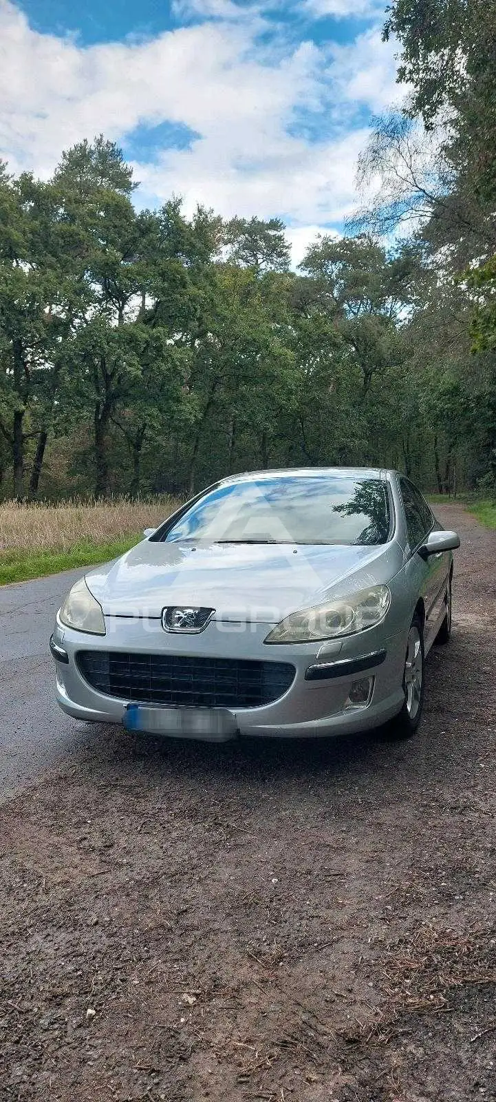 2005 Peugeot 407