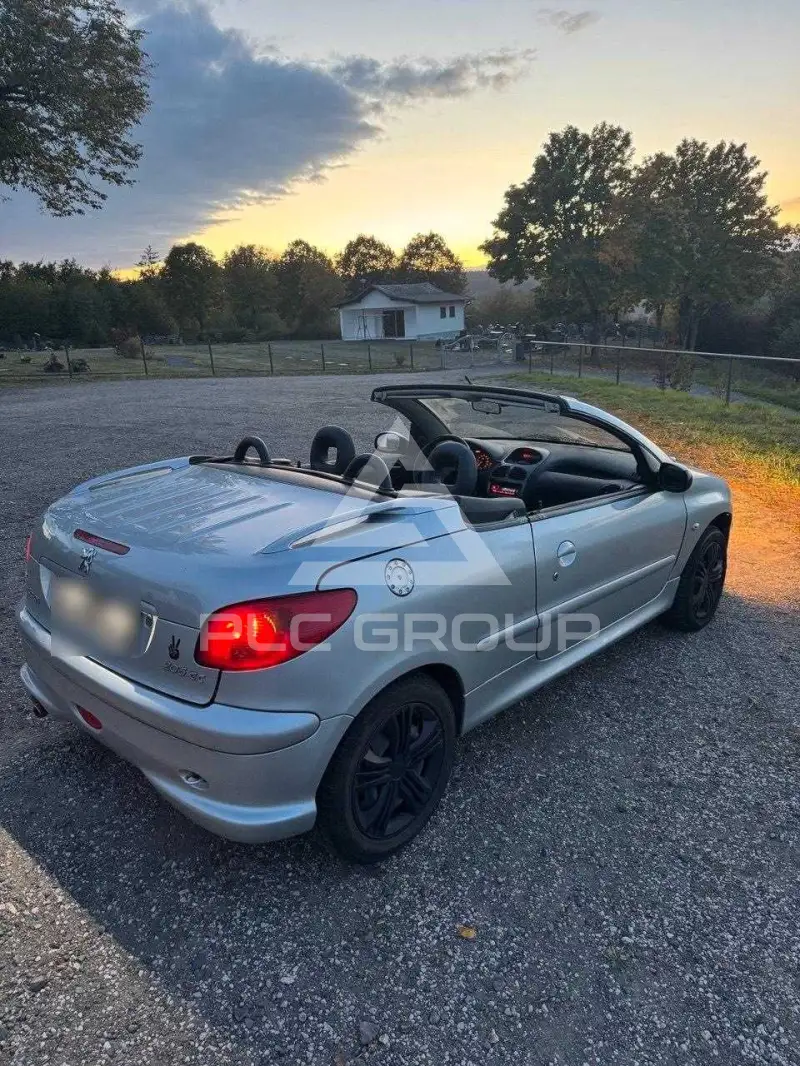 2005 Peugeot 206