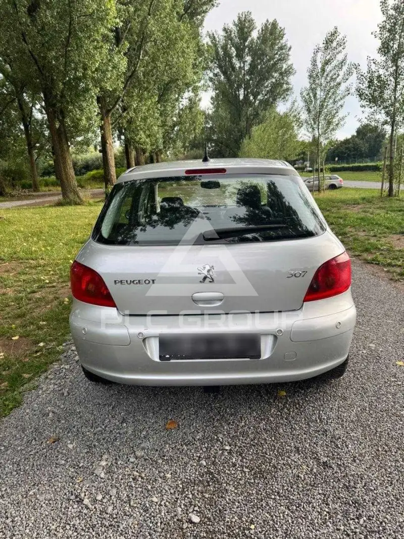 2006 Peugeot 307