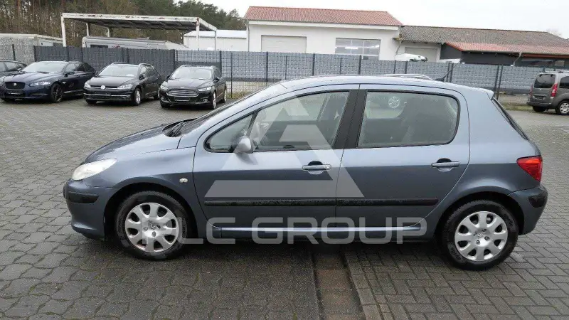 2006 Peugeot 307
