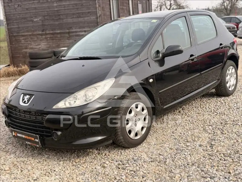 2006 Peugeot 307