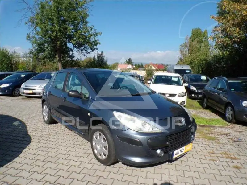 2006 Peugeot 307