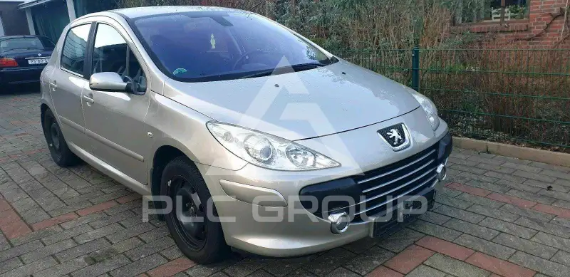 2006 Peugeot 307