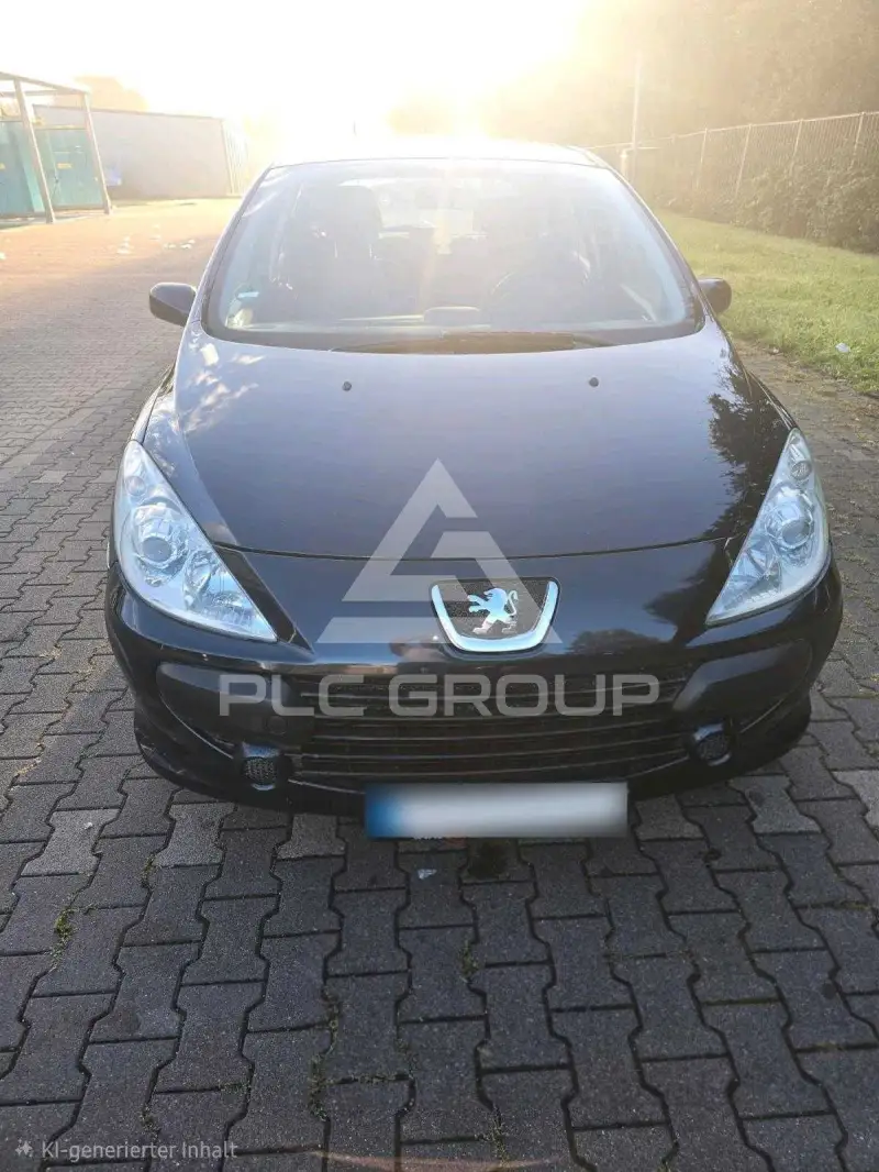 2006 Peugeot 307