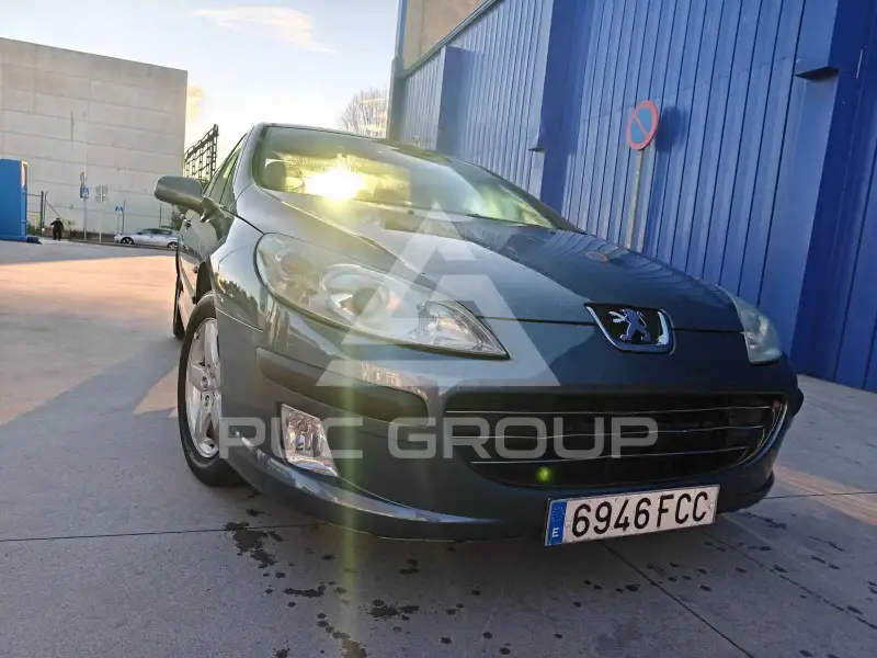 2006 Peugeot 407
