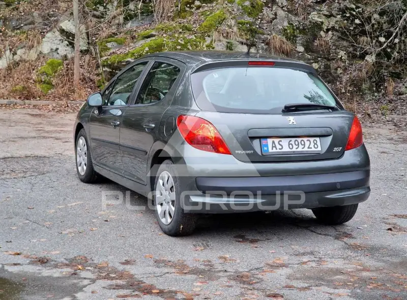 2006 Peugeot 207