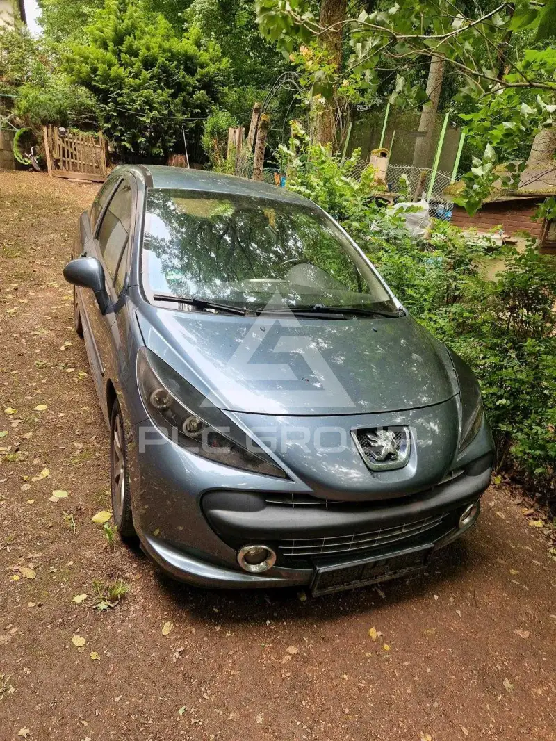 2006 Peugeot 207