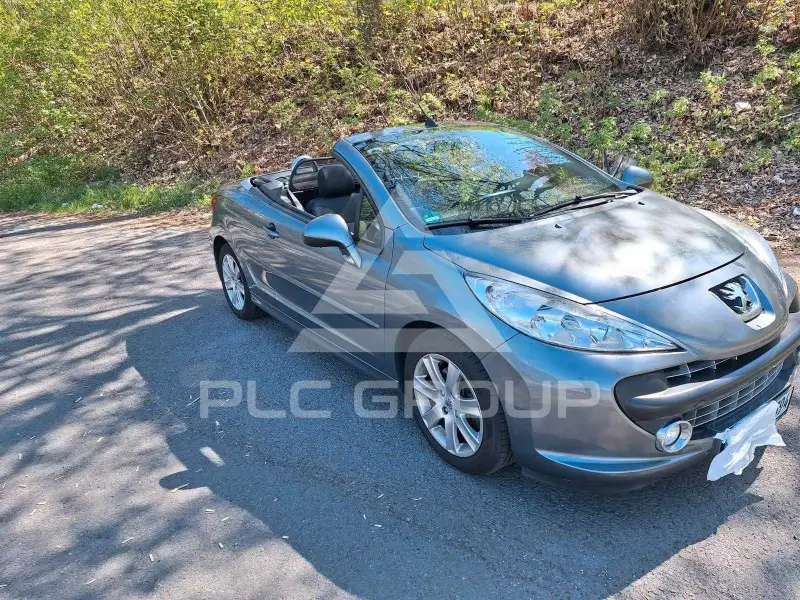 2006 Peugeot 207