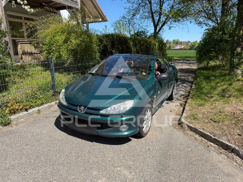2006 Peugeot 206