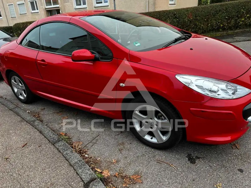 2006 Peugeot 307