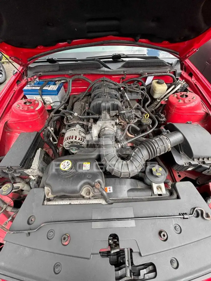 2006 Ford MUSTANG