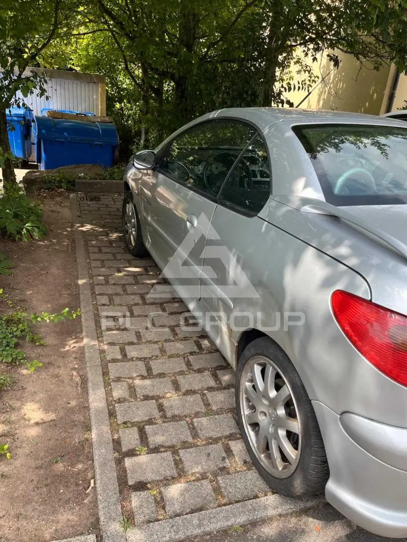 2007 Peugeot 206
