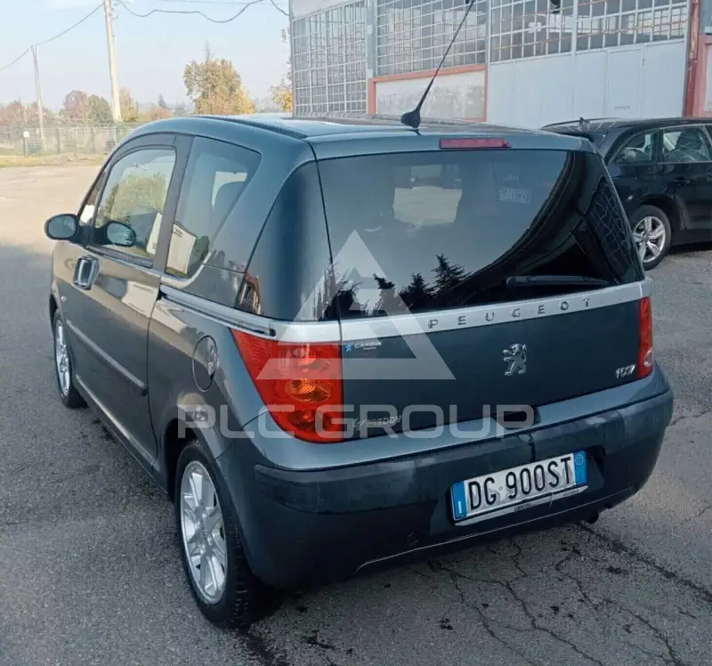 2007 Peugeot 1007