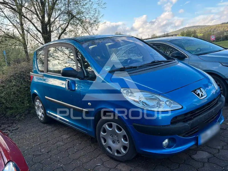 2007 Peugeot 1007