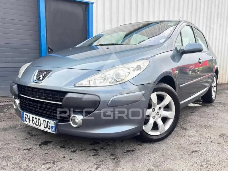 2007 Peugeot 307