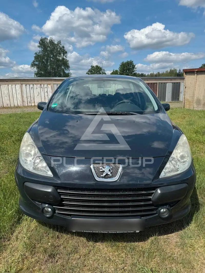 2007 Peugeot 307