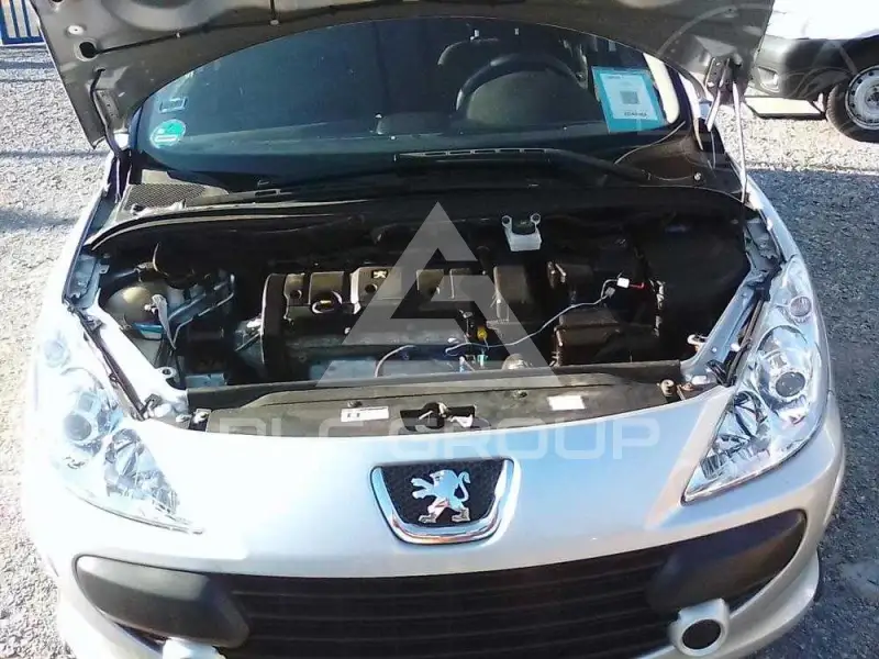 2007 Peugeot 307
