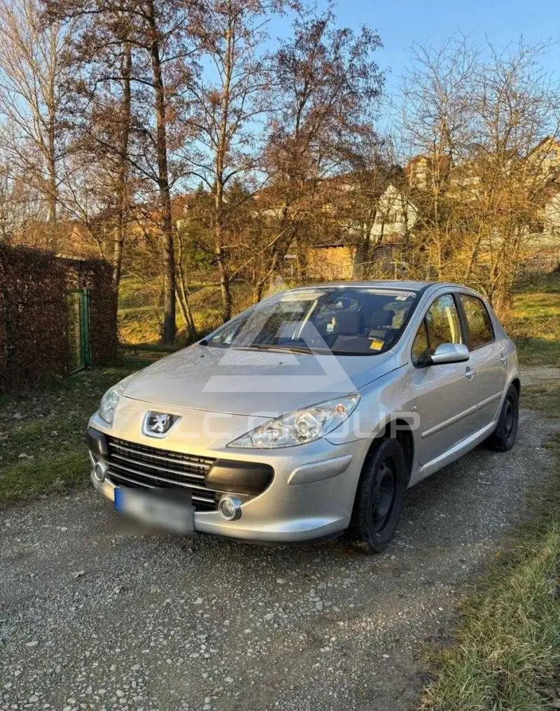 2007 Peugeot 307