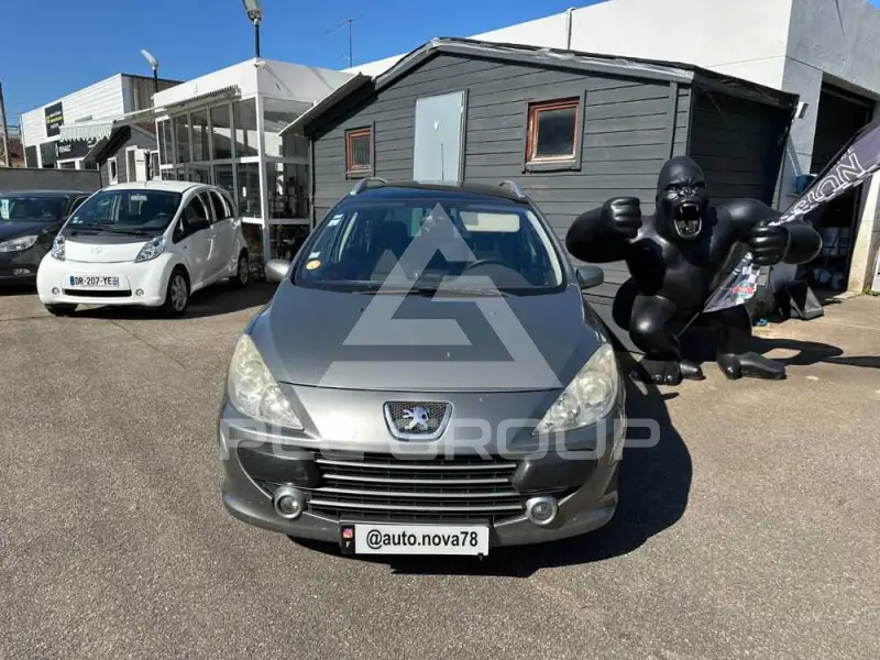 2007 Peugeot 307