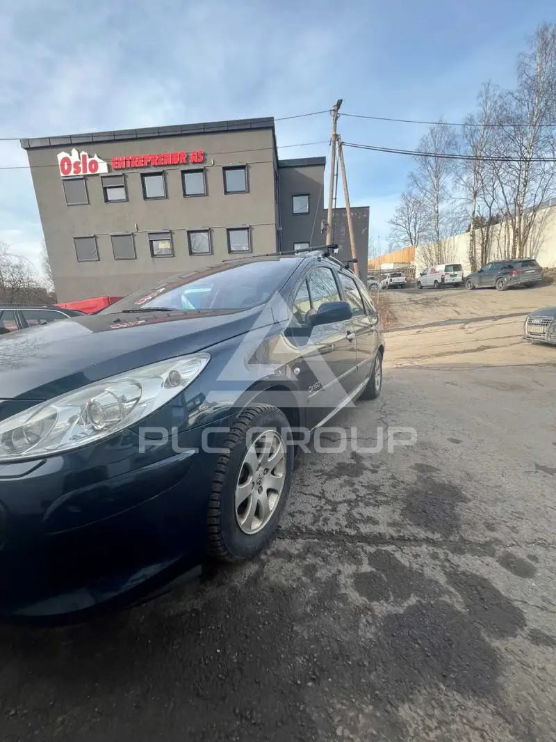2007 Peugeot 307